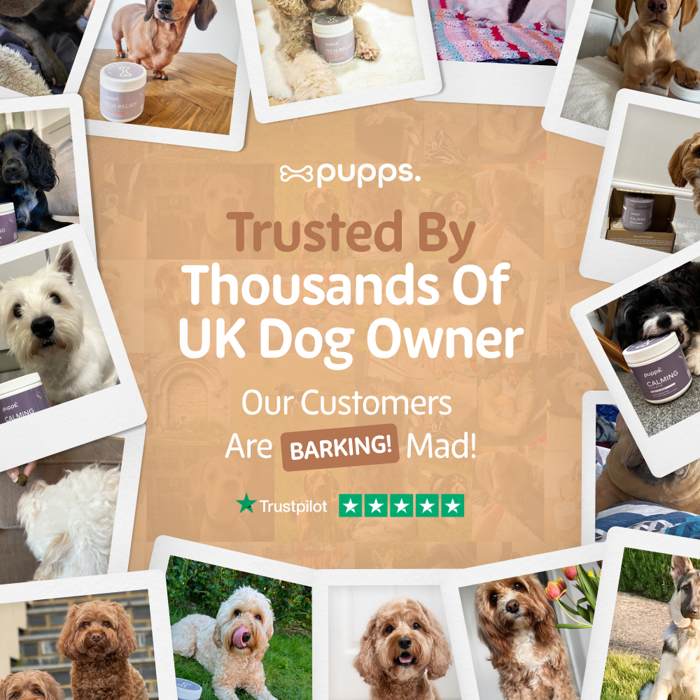Promotional graphic for 'pupps' with images of dogs and text about customer trust.