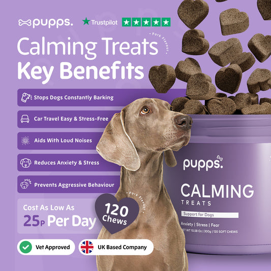 Advertisement for Pupps calming treats with a dog and product packaging on a purple background