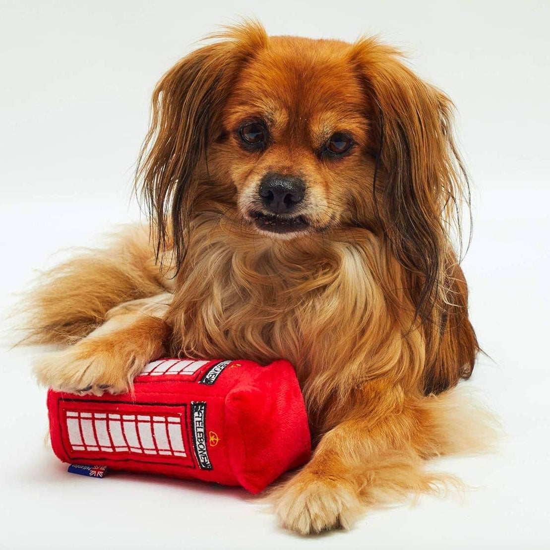 Dog holding a red plush toy shaped like a London phone box on a white background