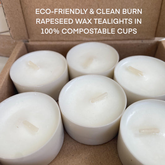 Box of eco-friendly rapeseed wax tealights with compostable cups