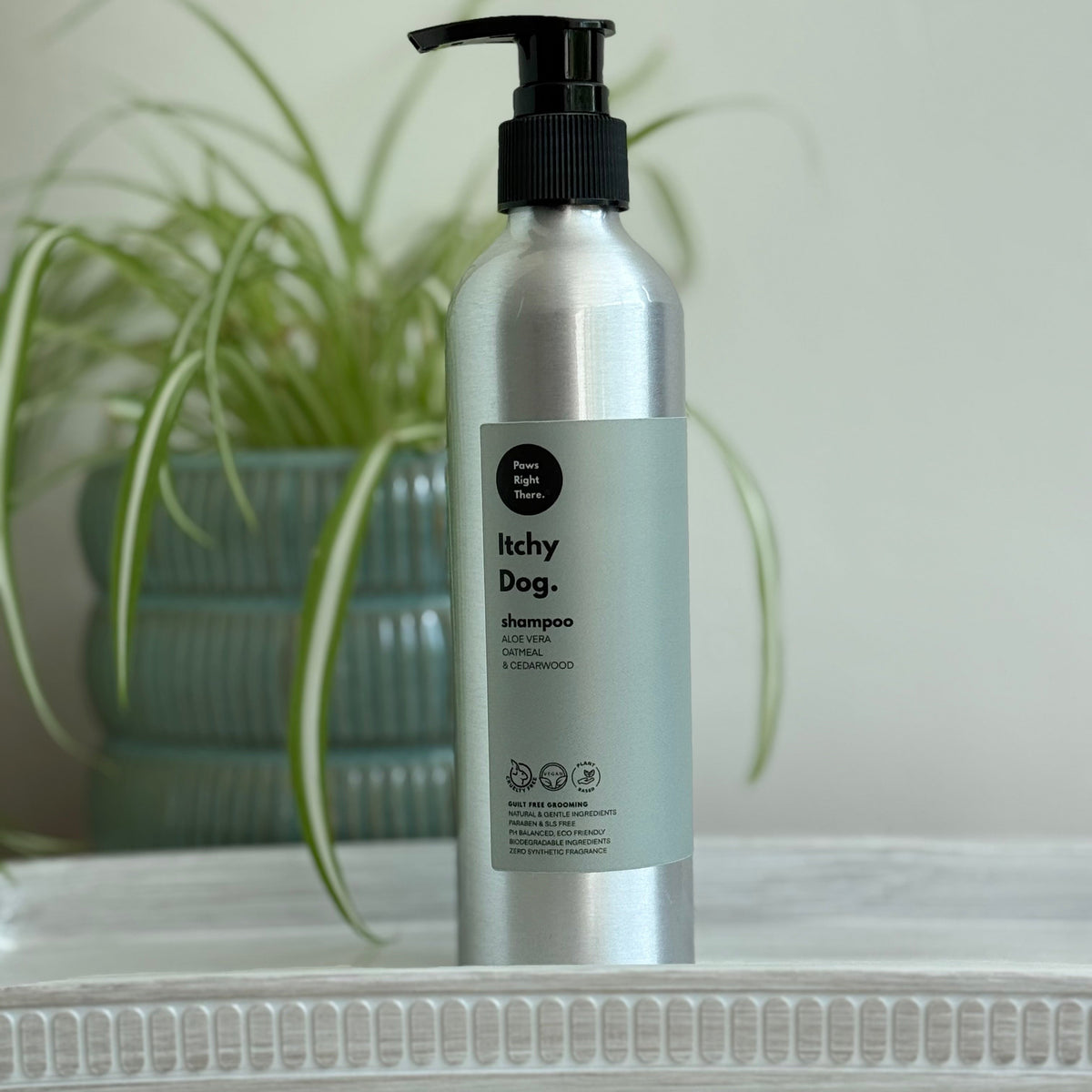 A silver pump bottle of Itchy Dog Shampoo with a black pump and a light gray label, standing on a white surface with a blurred green potted plant in the background.