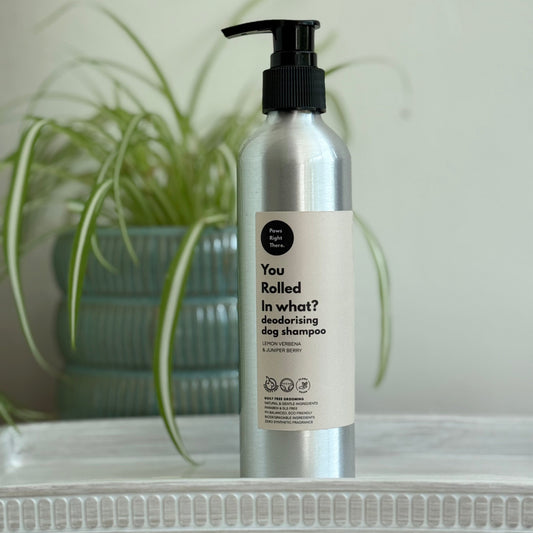 A silver pump bottle of 'You Rolled In What?' deodorising dog shampoo by Pure Pet Care, standing on a white textured surface with a blurred green potted plant in the background.