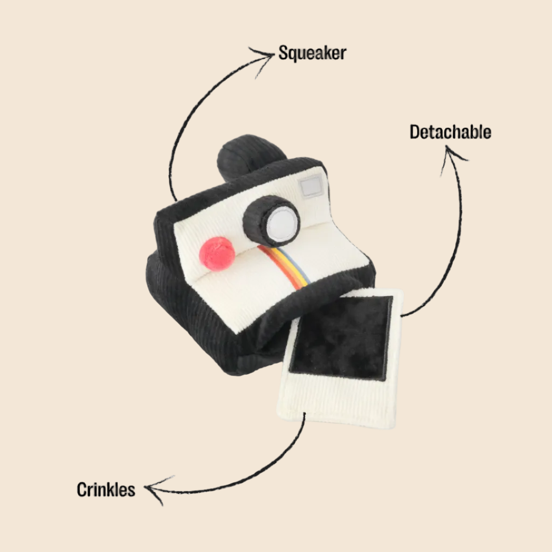 A plush toy designed to look like a vintage instant camera, shown on a warm cream background with black callout lines and text labels pointing out features: 'Squeaker,' 'Detachable,' and 'Crinkles.'.