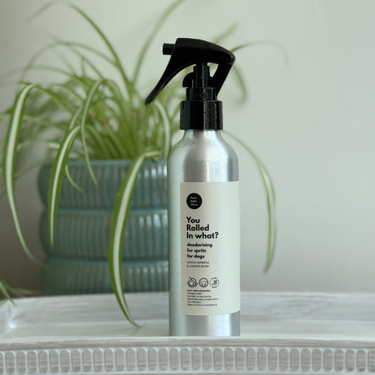 A silver spray bottle of 'You Rolled In What?' deworming for pets, standing on a white textured surface with a blurred green potted plant in the background.