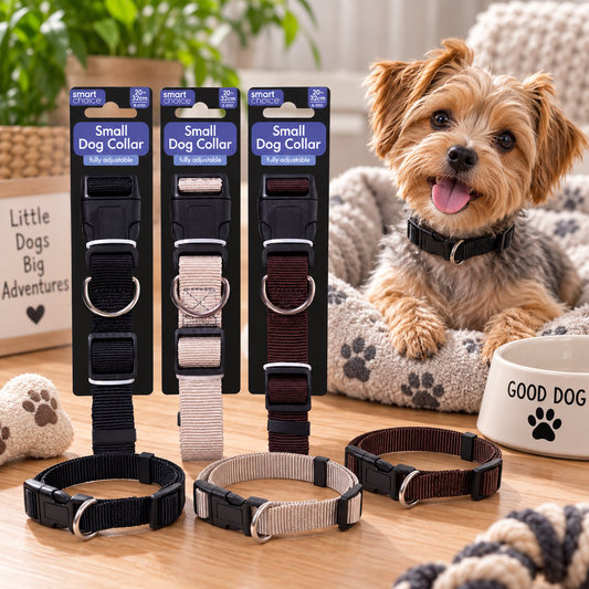Three small dog collars in black, beige, and dark brown are displayed on retail hangers and laid out on a wooden surface, with a small dog sitting behind them on a cushion and a bowl nearby.