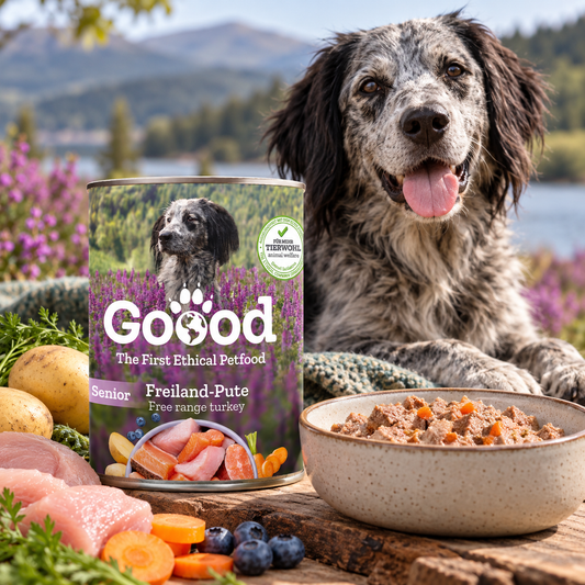 A dog sits outdoors beside a bowl of wet food and a can of Goood Senior Freiland-Pute dog food, with carrots, potatoes, and raw meat arranged in a garden setting.