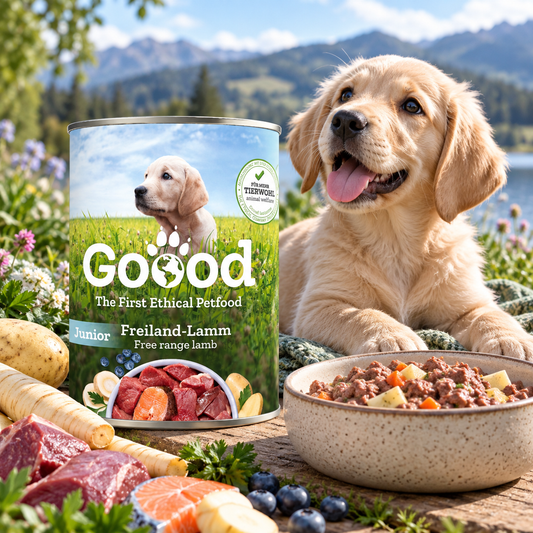 A can of Good pet food stands beside a golden retriever outdoors, with a bowl of wet dog food and raw ingredients like lamb, potatoes, parsley, and citrus arranged in a garden setting.