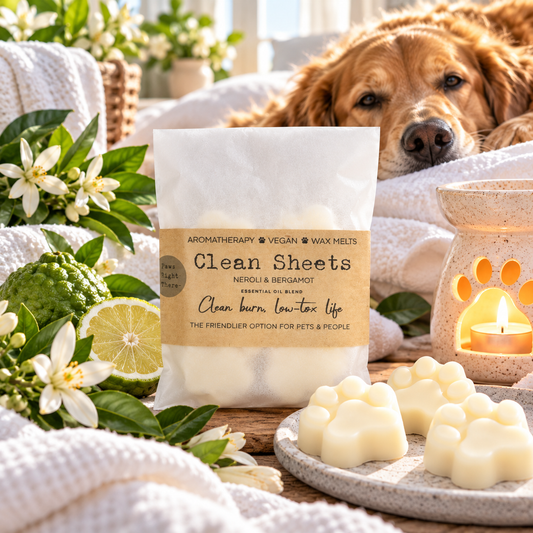 A bag of Clean Sheets pet and human aromatherapy wax melts stands on a table beside paw-shaped wax melts on a tray, with a golden retriever resting behind on white towels and green citrus and flowers around the scene.