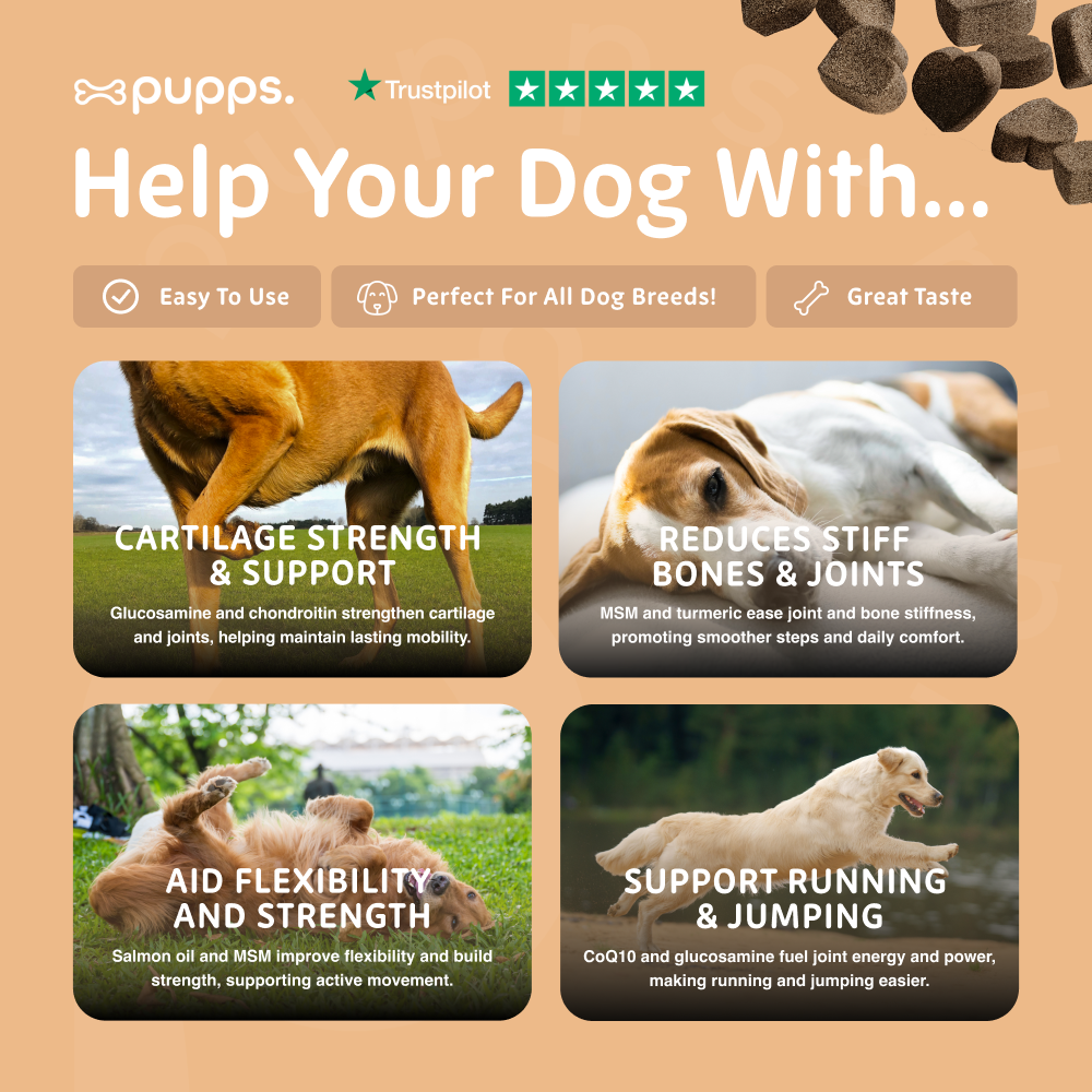 Advertisement for a product to help dogs with cartilage strength, stiff bones, flexibility, and running/jumping on a beige background.