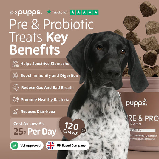 Dog with text about pre and probiotic treats key benefits and branding details.