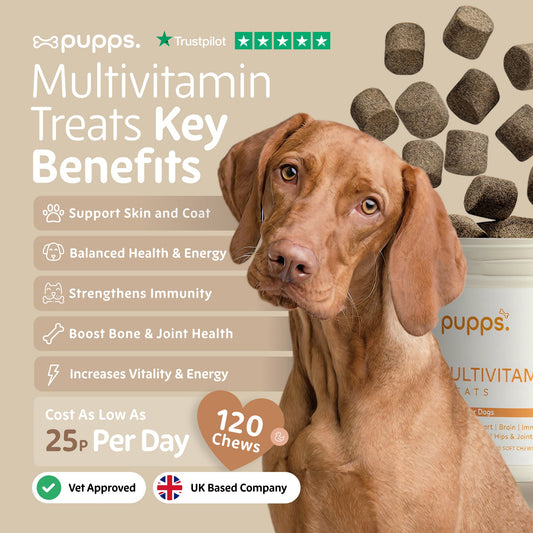 Dog with Pupps Multivitamin Treats packaging and text highlighting benefits and features.