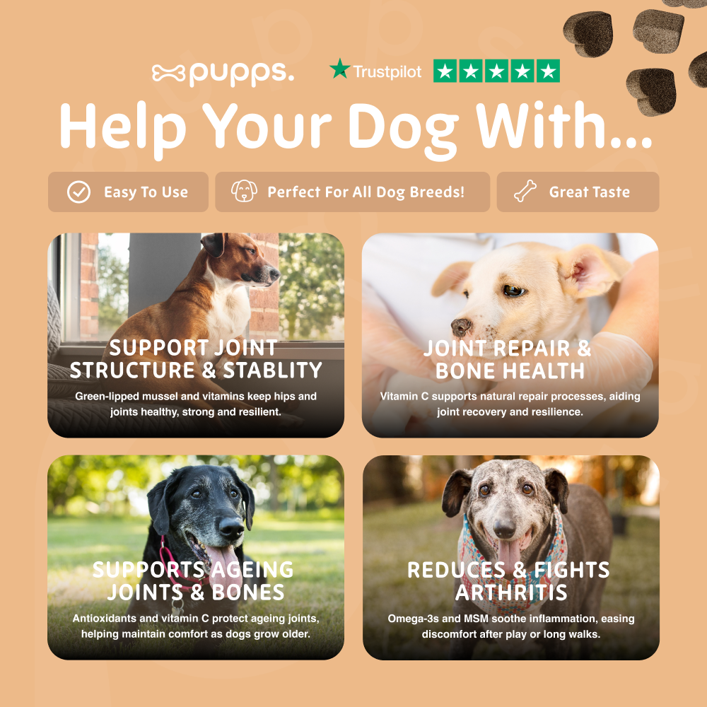 Advertisement for a pet product with images of dogs and text about joint health benefits on a beige background.