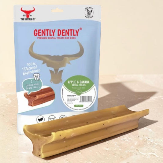 A Gently Dently dog dental treat chew in front of its light blue retail pouch on a beige surface. The package shows the Gently Dently brand, a bull graphic, and Apple & Banana flavor text.