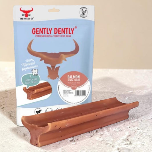 A salmon-flavored dental treat for dogs shown in its blue and white retail packaging.
