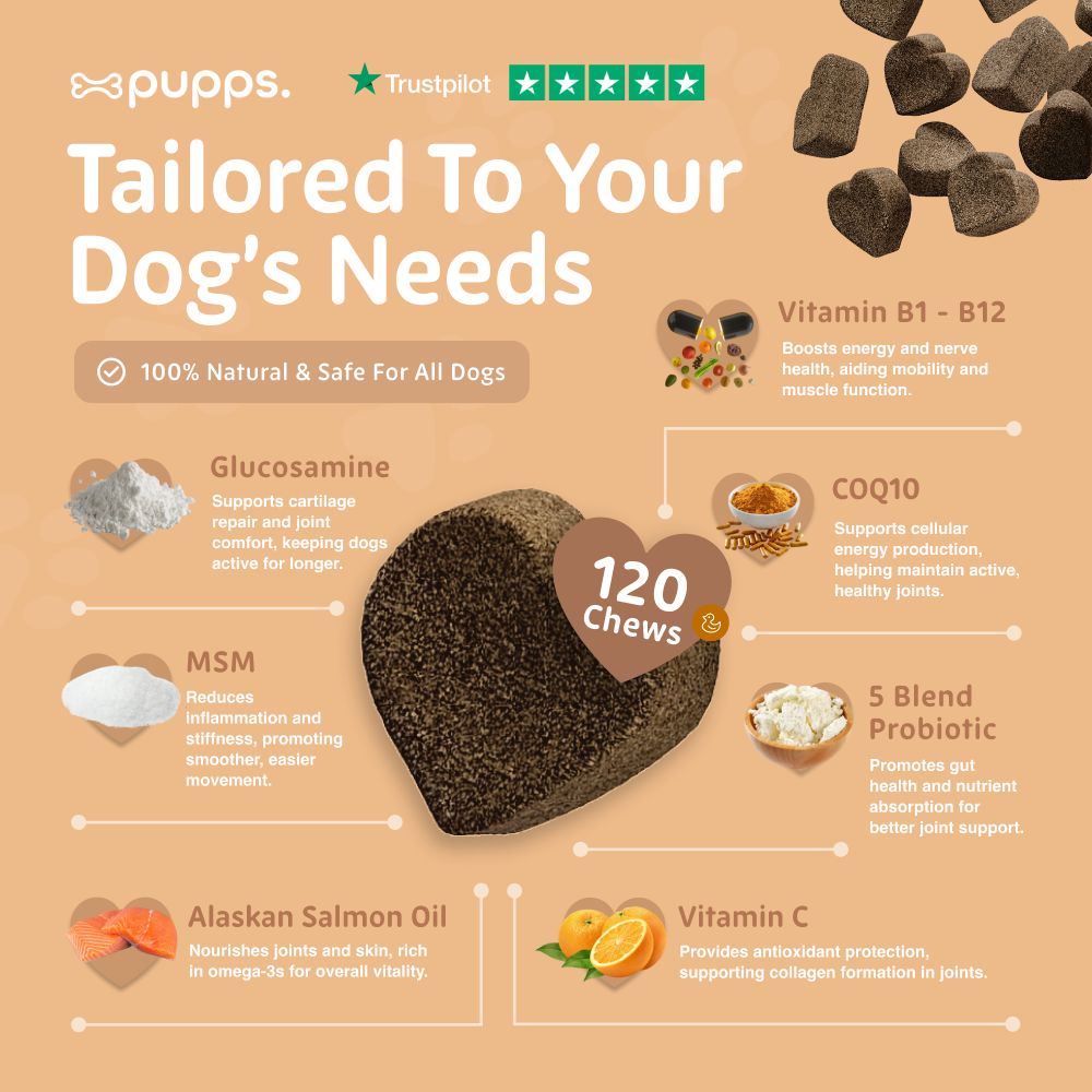 Dog supplement product with ingredients and benefits on a beige background