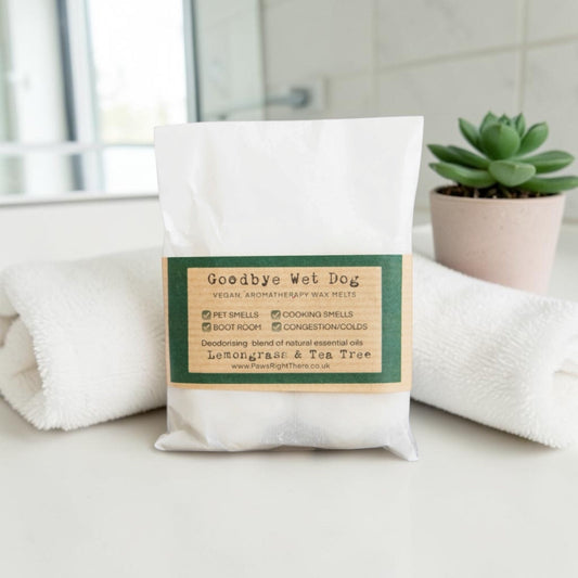 Goodbye Wet Dog product packaging on a bathroom counter with a plant in the background