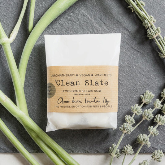 Wax melt package labeled 'Clean Slate' surrounded by green plants on a dark surface
