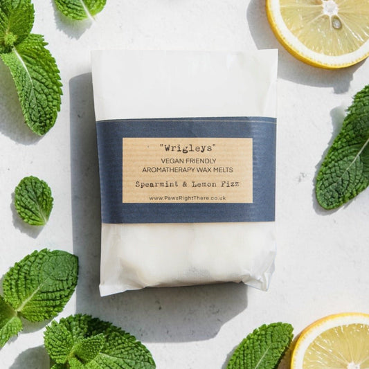 Wrigley's vegan friendly aromatherapy wax melts packaging with spearmint and lemon flavor surrounded by mint leaves and lemon slices on a light background.
