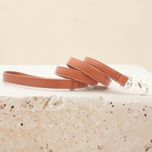 A tan leather dog leash with silver metal hardware, coiled on a textured beige stone block against a solid cream background.
