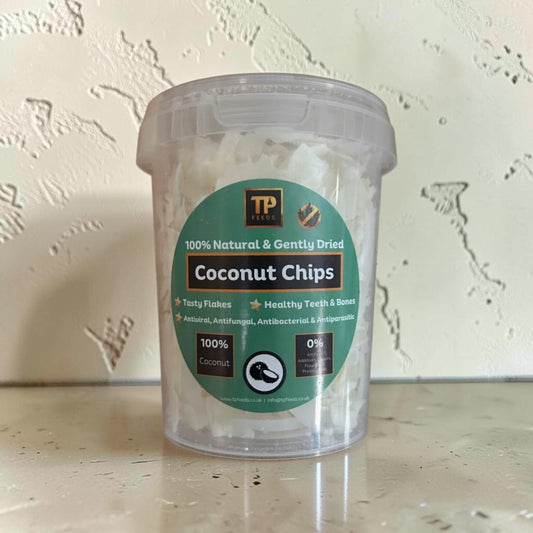 A clear plastic tub of TP Fishes Coconut Chips on a light beige countertop against a textured beige wall. The tub contains white dried coconut chips and features a green and brown circular label.