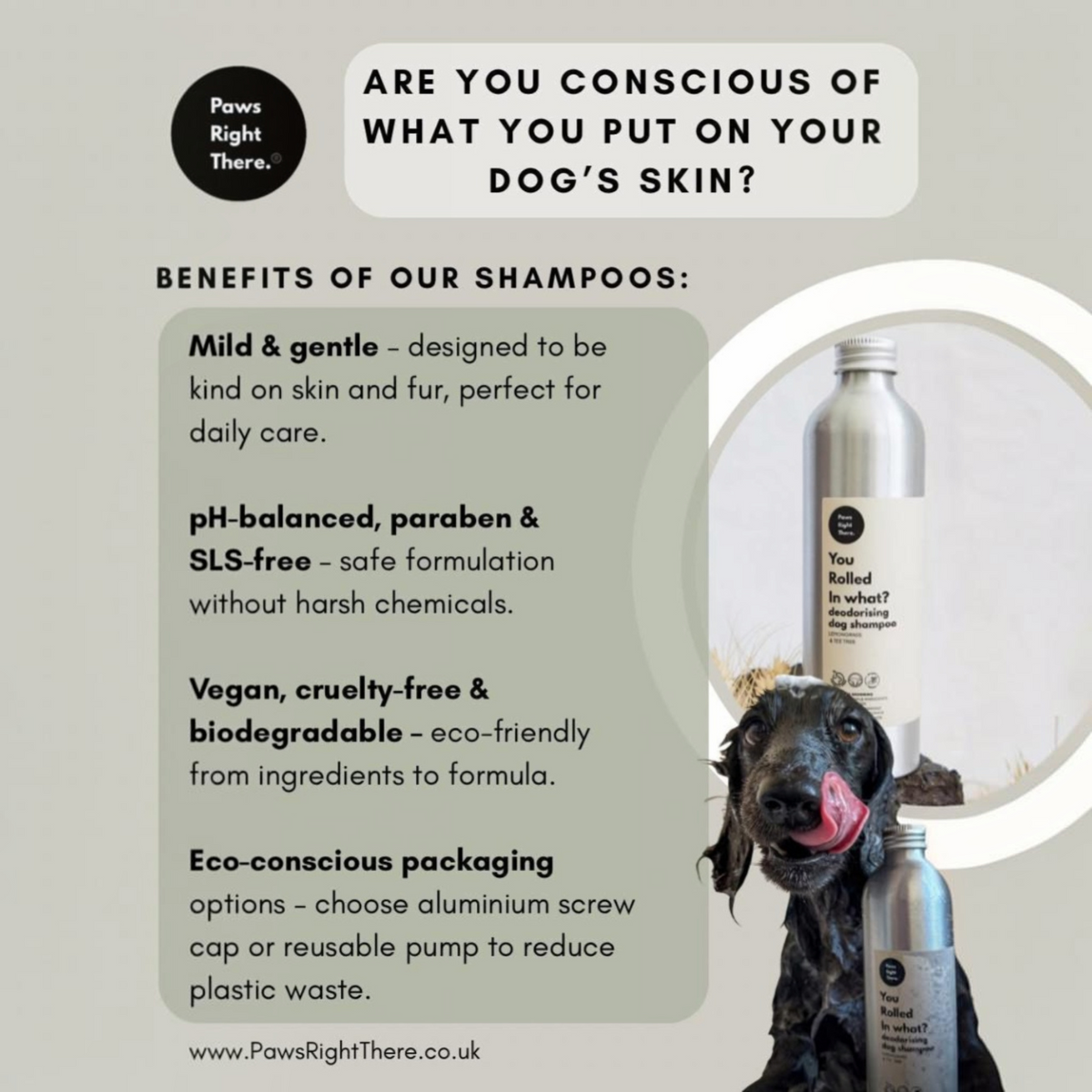 Promotional graphic for Paws Right There. shampoo bottles, featuring text about benefits, a black dog, and two silver shampoo bottles on a light gray background.