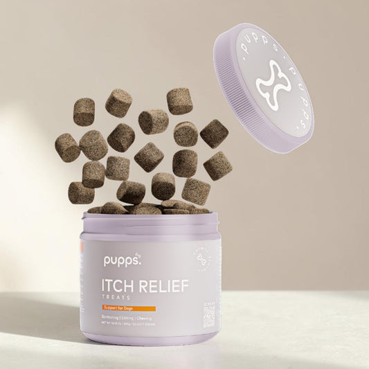 A jar of Pups Itch Relief Treats with its lid off, showing brown cube-shaped treats floating out, on a clean beige background.
