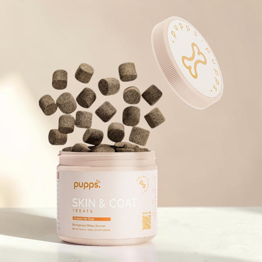 A jar of Pups Skin & Coat Treats with treats floating out of the open container and the lid resting above, set against a warm beige background.