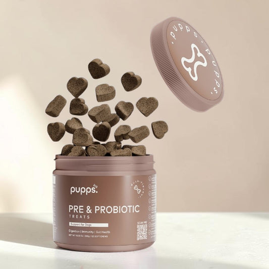 A jar of Pups Pre & Probiotic Treats with heart-shaped treats bursting out, with the lid floating above on a clean beige background.