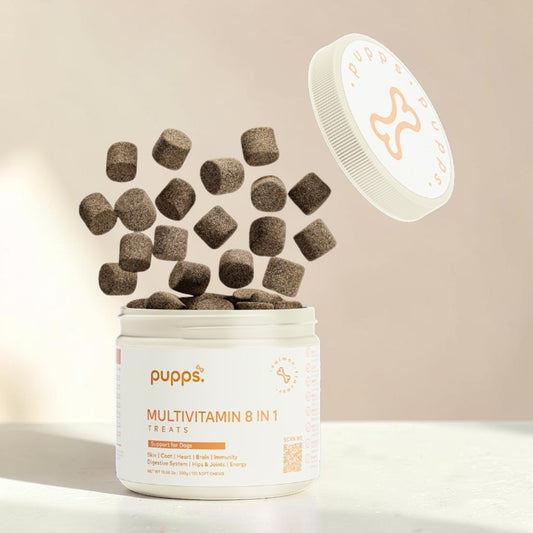 A white jar of Pups Multivitamin 8 in 1 Treats with treats bursting out, and the lid floating above on a light beige background.