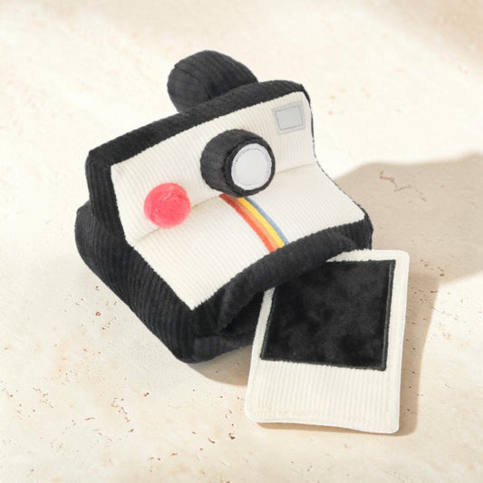 Instant Camera dog enrichment toy