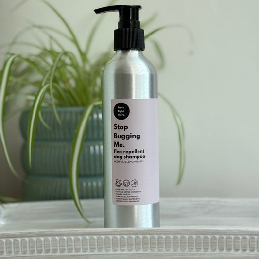 A silver pump bottle of 'Stop Bugging Me. Flea repellent dog shampoo' by the brand 'from right here', standing on a white shelf with a blurred green potted plant in the background.