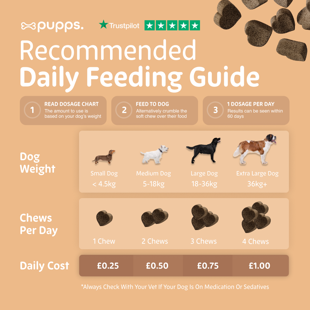 Dog feeding guide with recommended daily chews per day for different dog weights on a beige background.