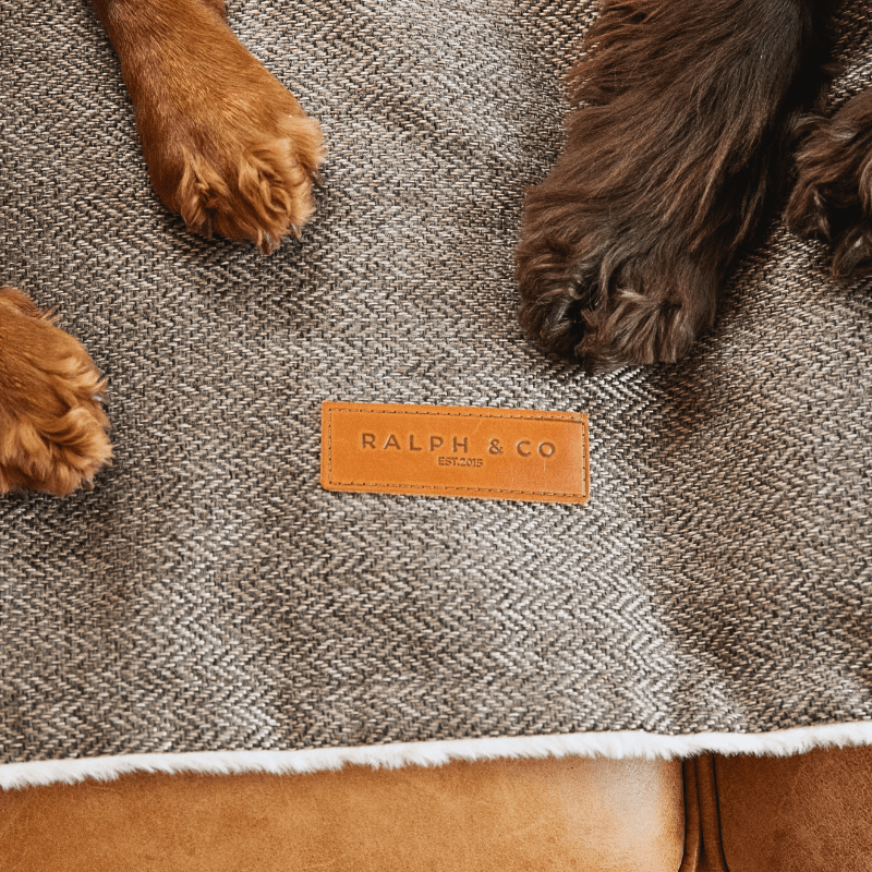 Dog paws on a textured blanket with a Ralph & Co label.