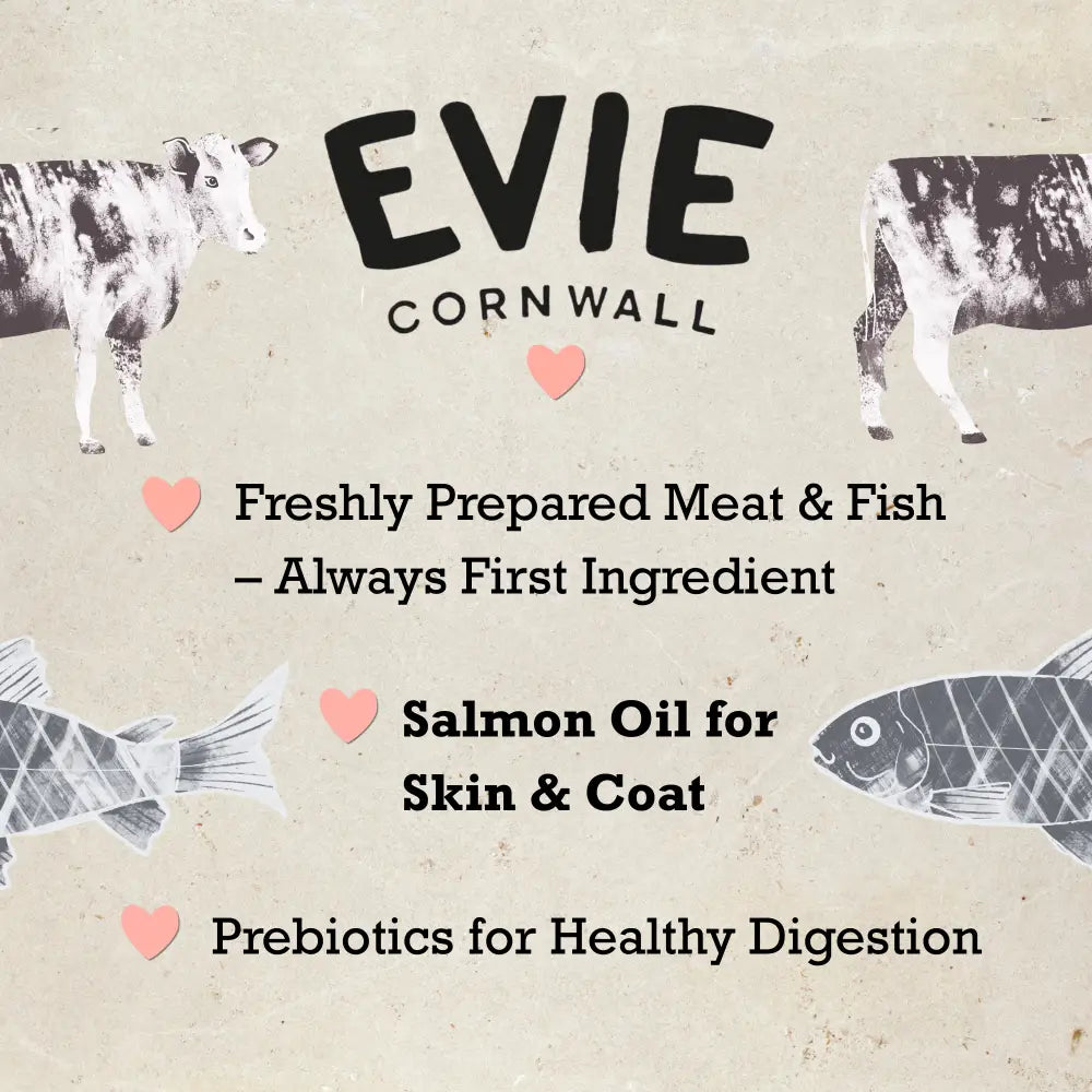 Advertisement for EVIE CORNWALL pet food with illustrations of a cow, fish, and text about ingredients.